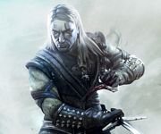 pic for the witcher 17 960x800